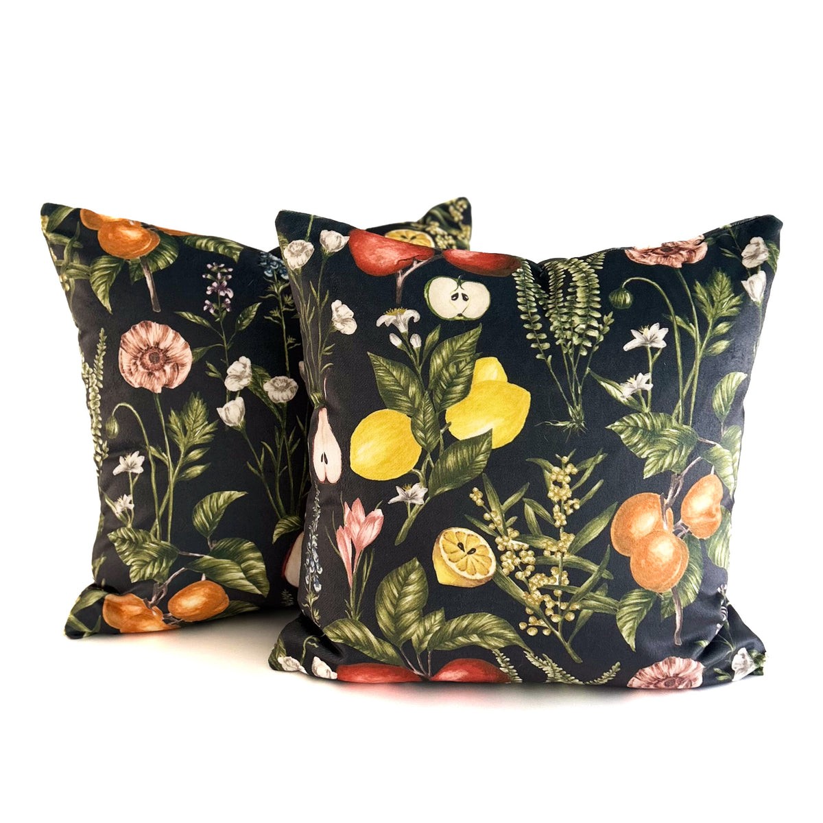Two decorative cushions with botanical pattern on a white background